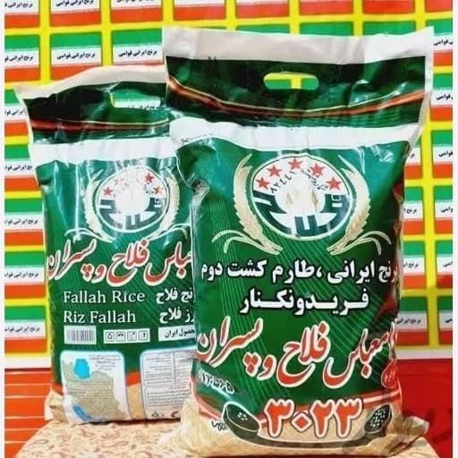 برنج طارم محلی کشت دوم غلام عباس فلاح وپسران با ارسال رایگان (10کیلوگرم)