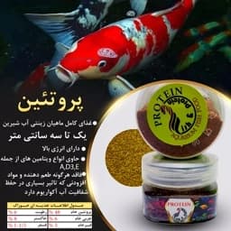 غذای ماهی عالی برای انواع کوی — تصویر ۳