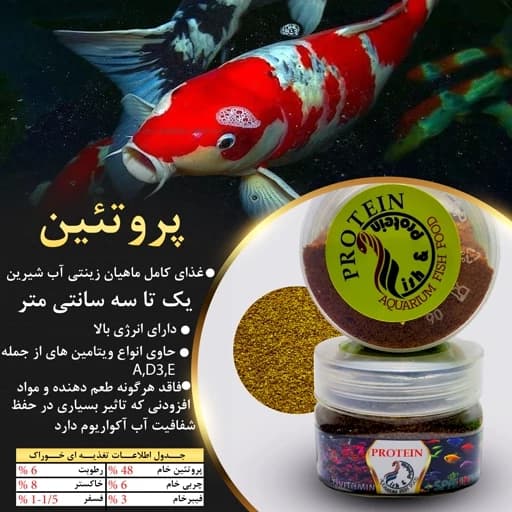غذای ماهی عالی برای انواع کوی