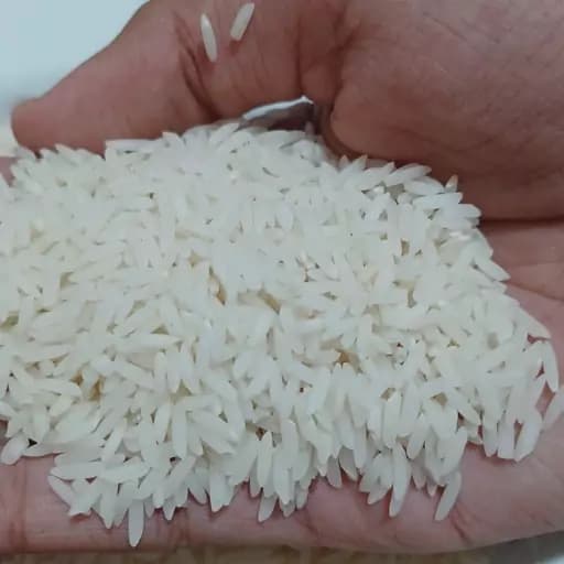 برنج دانه بلند طارم هاشمی درجه یک آستانه اشرفیه 5 کیلویی