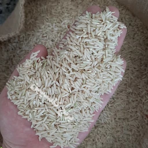 برنج قهوه ای هاشمی 5کیلویی (ارسال رایگان)