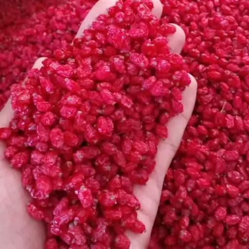 زرشک پفکی درجه یک