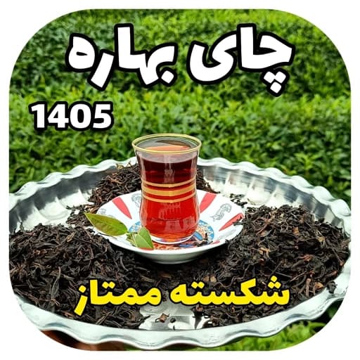 چای شکسته ممتاز بهاره 1405 (1000 گرم)