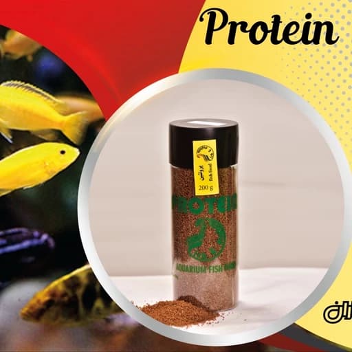 غذای ماهی آکواریومی