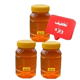 عسل زول سه کیلویی خرید از زنبوردار ارسال رایگان — تصویر ۳