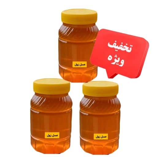 عسل زول سه کیلویی خرید از زنبوردار ارسال رایگان — تصویر ۲