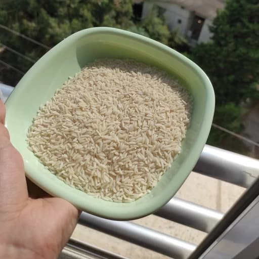 برنج طارم هاشمی فریدونکنار 10 کیلویی — تصویر ۲