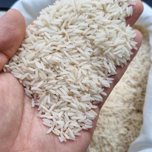 برنج طارم هاشمی فریدونکنار 10 کیلویی — تصویر ۴