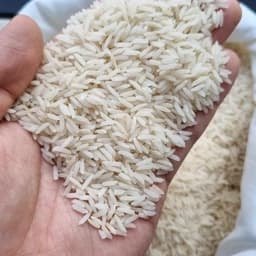 برنج طارم هاشمی فریدونکنار 10 کیلویی — تصویر ۵