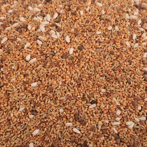 غذای عروس هلندی مدل S7 وزن 500گرم