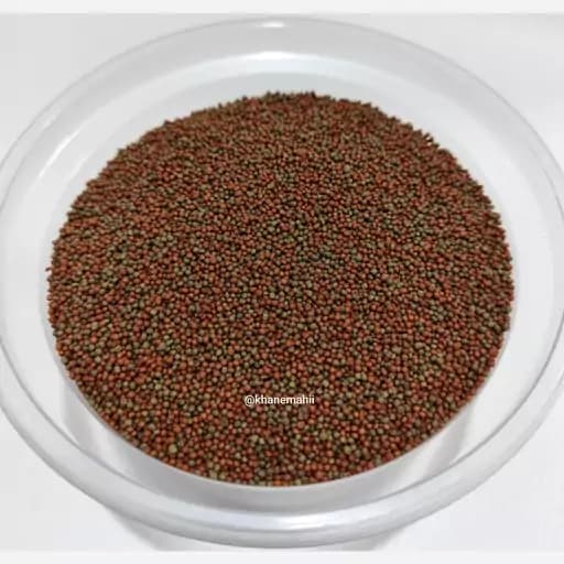 غذای ماهی آکواریوم میکس رنگ و رشد ro1.1 — تصویر ۲