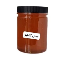 عسل طبیعی گشنیز (یک کیلویی) خرید مستقیم از زنبوردار — تصویر ۳