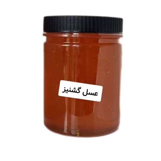 عسل طبیعی گشنیز (یک کیلویی) خرید مستقیم از زنبوردار
