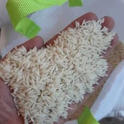 برنج ایرانی خوشپخت و اقتصادی درجه یک ارسال رایگان — تصویر ۳