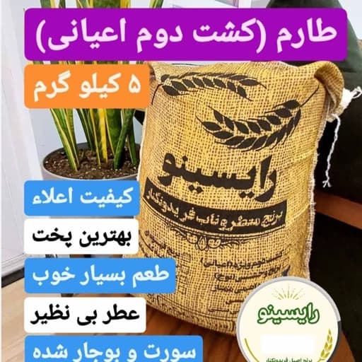 برنج طارم (کشت دوم اعیونی) فریدونکنار-اعلاء(5 کیلویی)