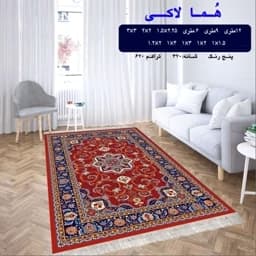 گلیم ماشینی کاشان طرح هما لاکی سایز4متری (1.5 در 2.25 متر)(پس کرایه) — تصویر ۳