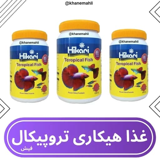 غذای عمومی ماهیان آکواریوم هیکاری