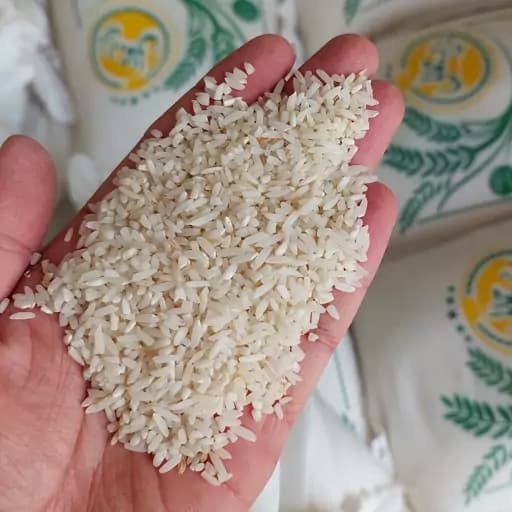 برنج سرلاشه طارم معطر اعلا و درشت برنج جمالی 10 کیلویی — تصویر ۲
