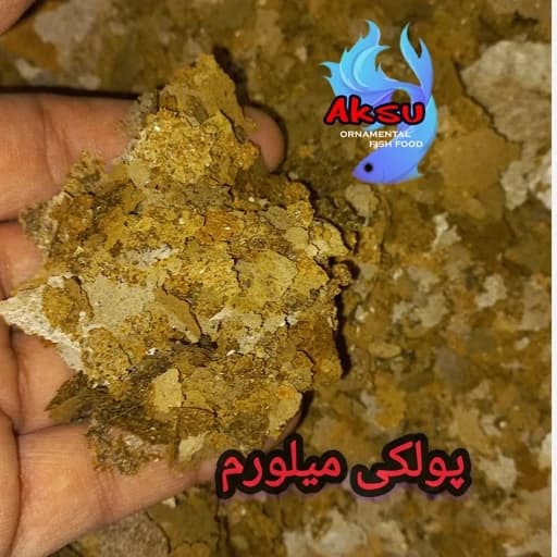 غذای ماهی پولکی کرم میلورم 15 درصد روابی 500 گرمی — تصویر ۲