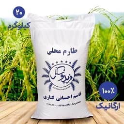 برنج طارم محلی فریدونکنار امساله(ارسال رایگان) ( 20 کیلویی ) یک الکه — تصویر ۳