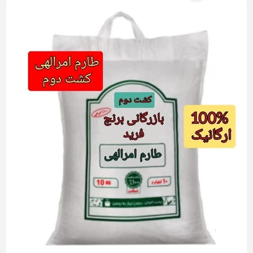 برنج طارم امرالهی کشت دوم ، فوق ممتاز