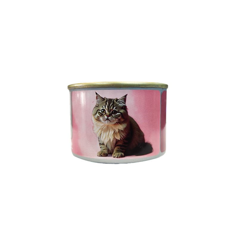 غذای خشک بچه گربه سلبن مدل Kitten Pack با طعم مرغ به همراه کنسرو بسته 4 عددی — تصویر ۶
