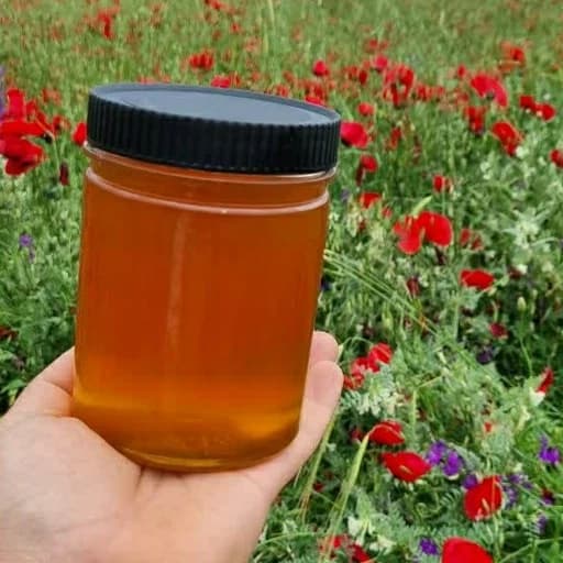 عسل طبیعی زول (یک کیلویی)