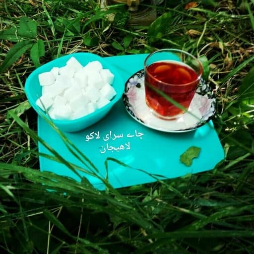 چای ایرانی شکسته 1405 ممتاز لاهیجان با عطر و رنگ عالی (500 گرمی)