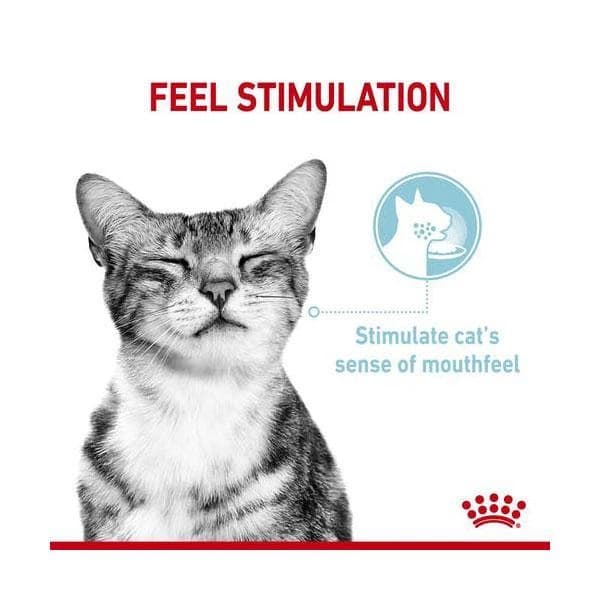 پوچ گربه رویال کنین مدل SENSORY FEEL وزن 85 گرم — تصویر ۵