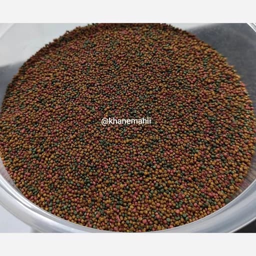 غذای عمومی ماهیان آکواریوم 500 گرم fl-1 — تصویر ۲