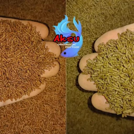 غذای ماهی سایز 1 میل روابی استیک اسپیرو استا 250 گرمی کوی و چانا و اروانا و...