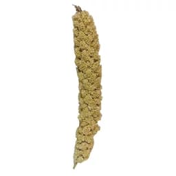 غذای پرنده مدل ارزن خوشه ای درشت کد 0100 بسته 100 عددی وزن 1200 گرم — تصویر ۳