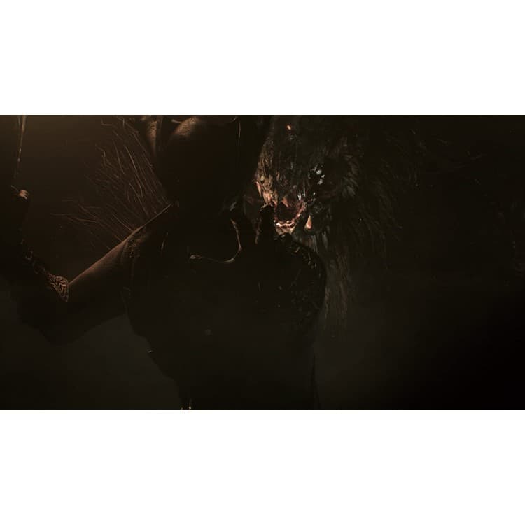 بازی Bloodborne Game of the year مخصوص PS4 — تصویر ۹