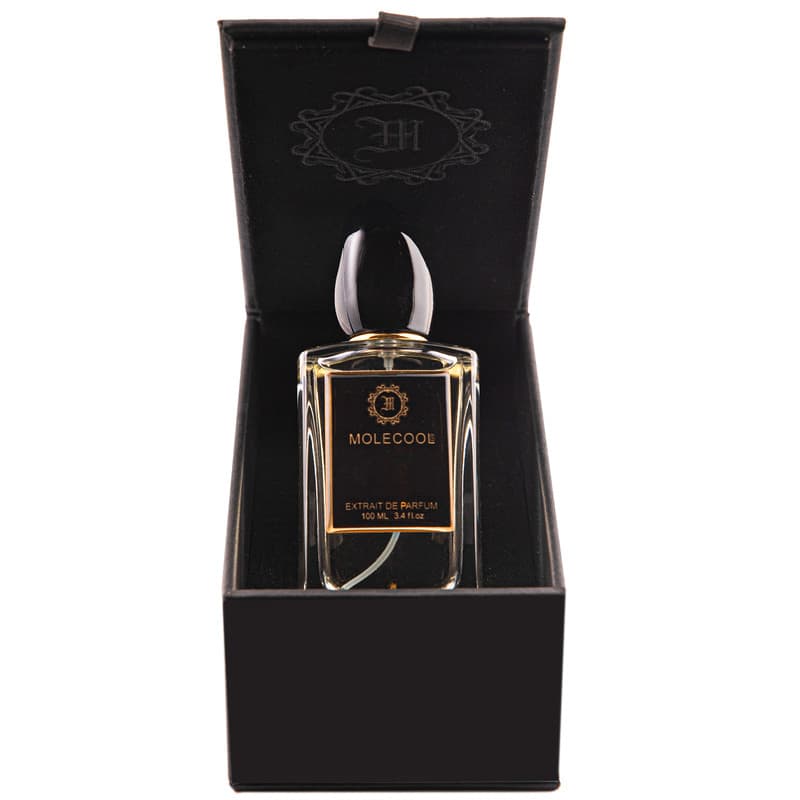 ادوپرفیوم مردانه مولکول مدل SILVER SCENT حجم 100 میلی لیتر — تصویر ۴