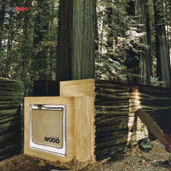 ادو تویلت مردانه دیسکوارد مدل He Wood حجم 100 میلی لیتر — تصویر ۳