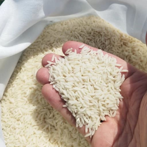 برنج طارم هاشمی درجه یک امساله