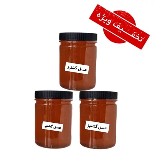 عسل گشنیز طبیعی ( سه کیلویی) خرید مستقیم از زنبوردار