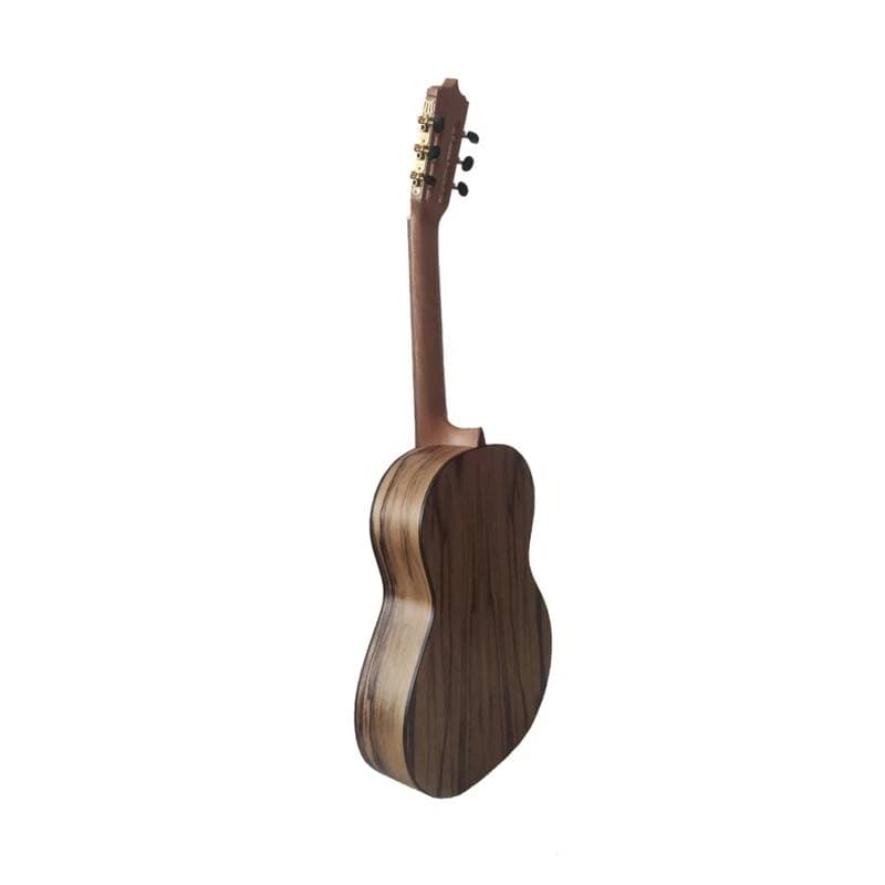 گیتار پارسی مدل p70 — تصویر ۱۱