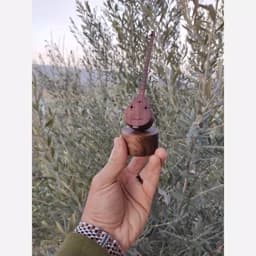 ساز سه تار مینیاتوری — تصویر ۳