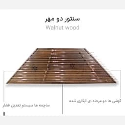 سنتور دومهر موسوی با کیفیت صدای عالی — تصویر ۳