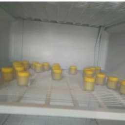 ژل رویال 30 گرم(مستقیم از زنبوردار) ارسال شهر تهران در یخ با اسنپ — تصویر ۳