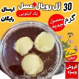 ژل رویال اصل ایرانی(30گرم در یک کیلو عسل طبیعی کردستان)ارسال رایگان — تصویر ۳