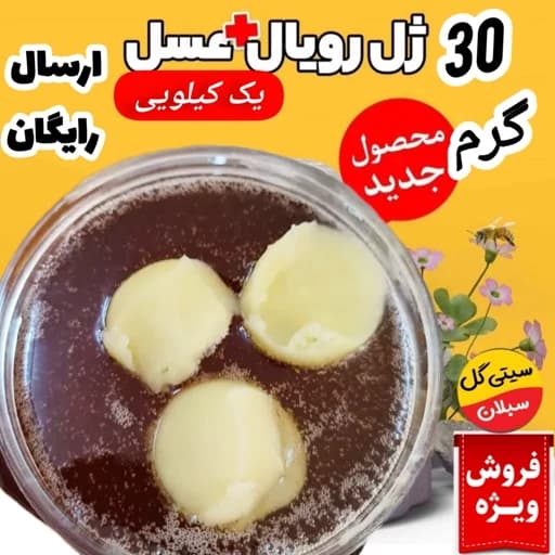 ژل رویال اصل ایرانی(30گرم در یک کیلو عسل طبیعی کردستان)ارسال رایگان — تصویر ۲
