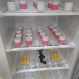 ژل رویال 10 گرم(مستقیم از زنبوردار) ارسال شهر تهران در یخ با اسنپ — تصویر ۳