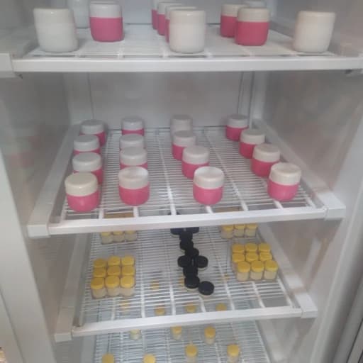 ژل رویال 10 گرم(مستقیم از زنبوردار) ارسال شهر تهران در یخ با اسنپ — تصویر ۲
