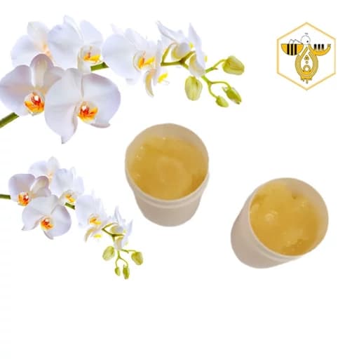 ژل رویال خالص 100گرمی (ارسال با اتوبوس، قبل از خریدهماهنگ شید)