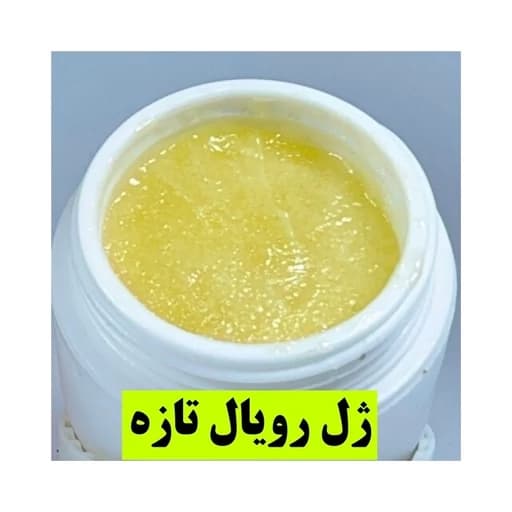 ژل رویال خالص 50 گرمی (خرید از زنبودار)