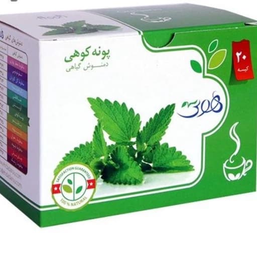 دمنوش گیاهی پونه کوهی هوتی بسته 20 عددی
