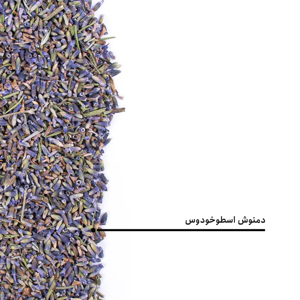 دمنوش اسطوخودوس — تصویر ۶