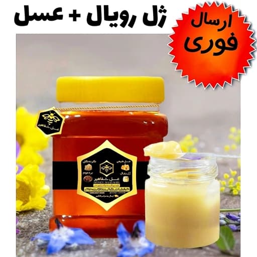 ژل رویال و عسل شفاهیر(مخلوط10گرم ژل رویال با 250 گرم عسل طبیعی جنگلی)(ارسال فوری)(مستقیم از زنبوردار) — تصویر ۲